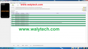 www.walytech