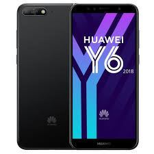 Y6 2018 2