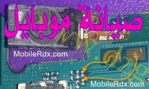 11168155 1604906713095116 6607043401733951029 n