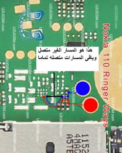 82002494064381279589