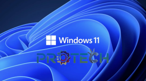 win 11 pro